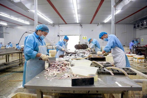 走向我們的小康生活 弘玖水產(chǎn)一條龍服務(wù)，黑魚游出致富路